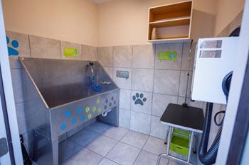 Pampered paws pet wash: the ultimate all-in-one pet care experience
